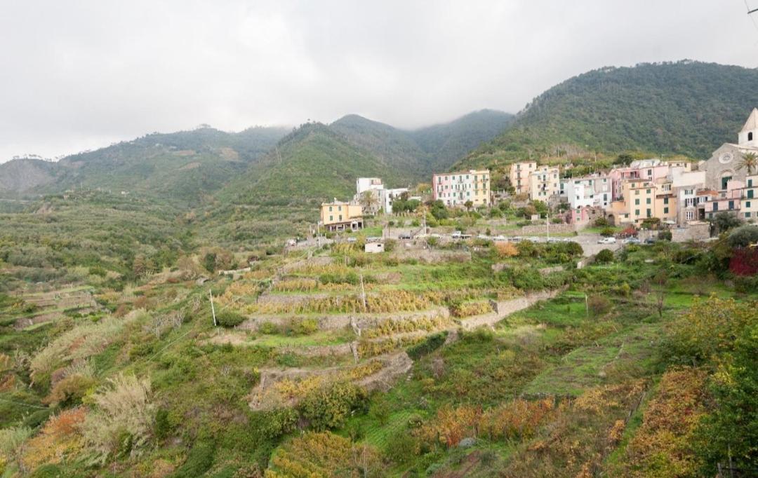 Arbanella Hotel Corniglia Ruang foto