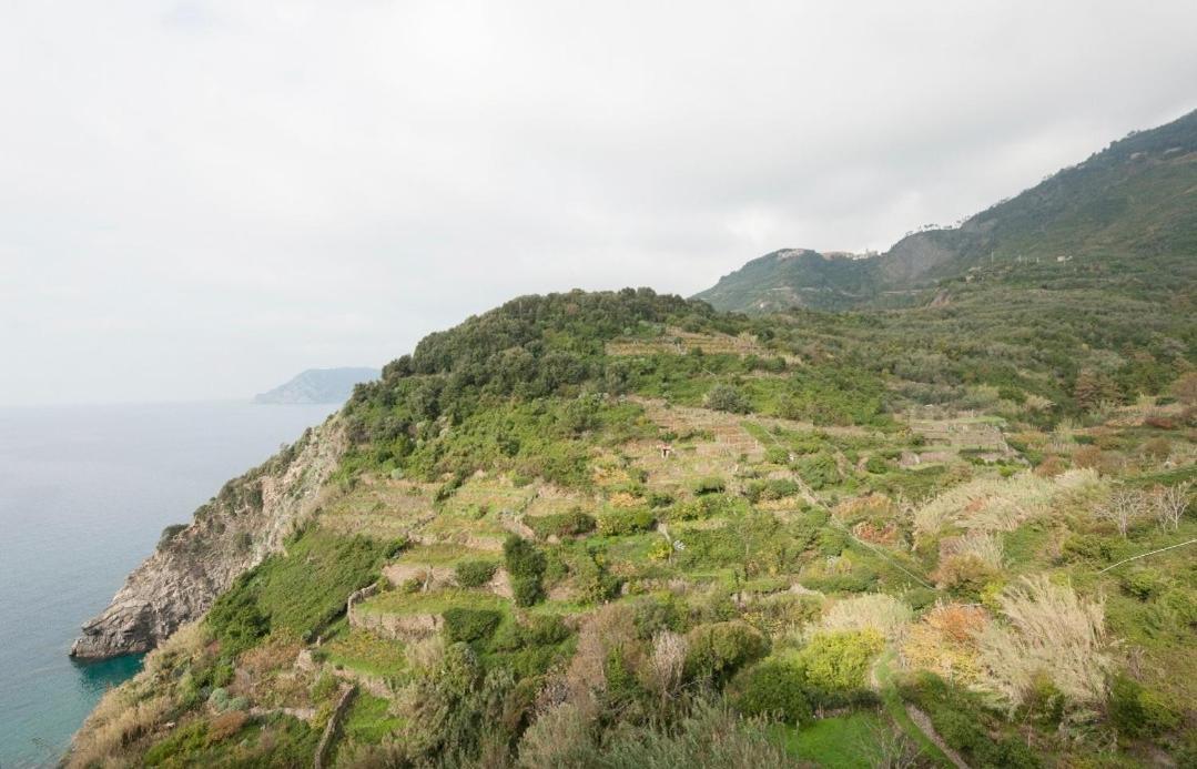 Arbanella Hotel Corniglia Ruang foto